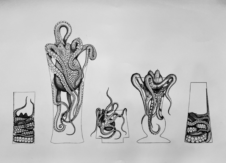 Five graphite drawings of octopuses arranged inside tall glass vessels, rendered in fine detail on white paper.